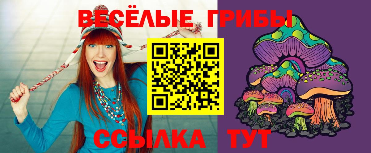 Псилоцибиновые грибы мицелий Гатчина