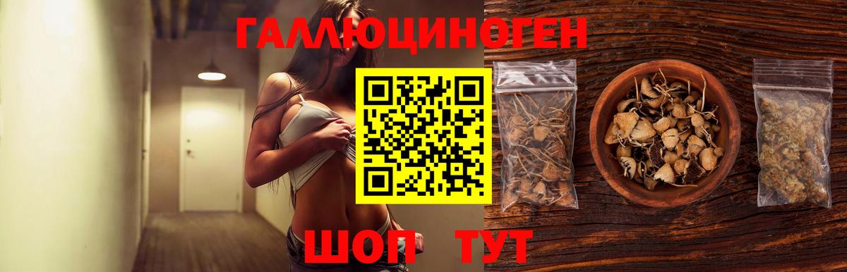 Псилоцибиновые грибы мицелий  Вход с VPN  Гатчина 