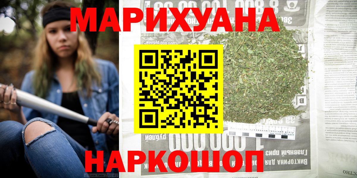 Каннабис OG Kush Гатчина